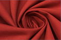 Plain Nylon Cotton Fabric  3