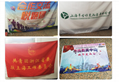 Spun Polyester Banner Fabric 