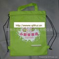 Non-woven bag 4