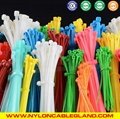Eco-friendly Industrial Grade Plastic Cable Zip Ties (Bridas Sujetacables)