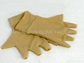 Anti-Arthritis Gloves 1
