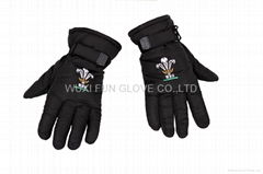 Water-proof Snow Boarding Gloves & Thinsulate Leather Skiing Glove