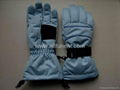 Ski Gloves 1