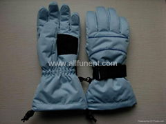 Ski Gloves