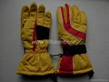 Ski Gloves 2