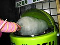 COTTON CANDY VENDING MACHINE 3