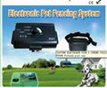 Underground Electric Dog Fence with Dog