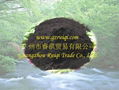 Humic Acid Powder 1