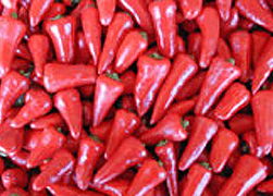 Capsaicine