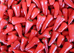 Capsaicine