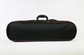 violin case 2