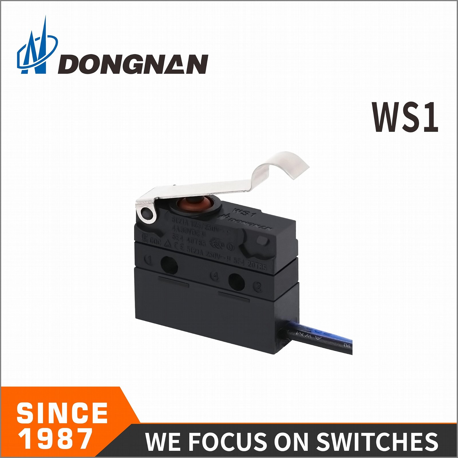 WS1-Z6A-F100 IP67 Waterproof Micro Switch 5A125VAC 3