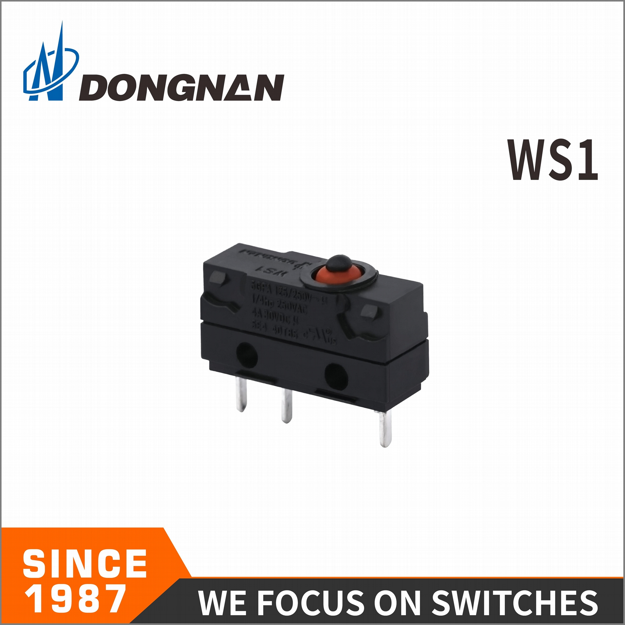 WS1-Z6A-F100 IP67 Waterproof Micro Switch 5A125VAC 5