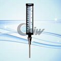 Foodstuff  Thermometer 