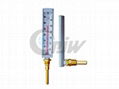 Plastic Shell Hot Water Glass Thermometer