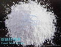 fused silica powder 600mesh