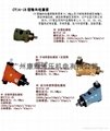 惠州中山柱塞泵10MCY14