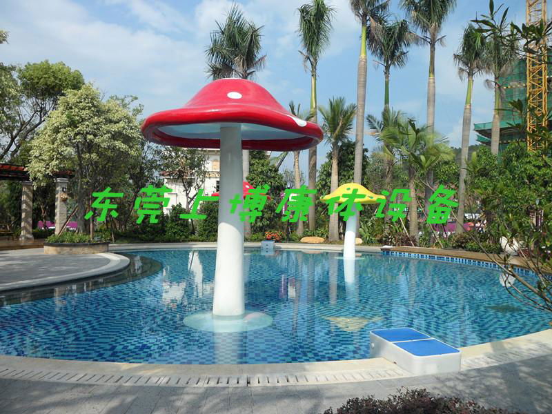 東莞游泳池工程  泳池工程 3