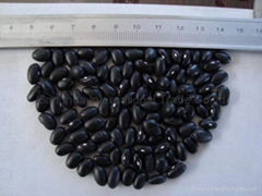 Small Black Kidney Beans