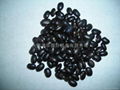 Small Black Kidney Beans