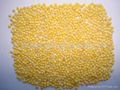 yellow millet rice