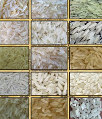 Variety of Pakistani Rice