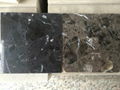 Artificial stone  1