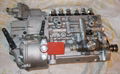  Diesel Fuel Injection Pump