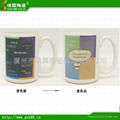 color changing mug 4