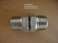 stainless steel 150lb threaded pipe fittings 304 316 ISO4144 barrel nipple union 4