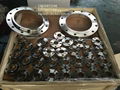 Carbon steel and stainless steel forged flange B16.5 DIN EN1092-1 1