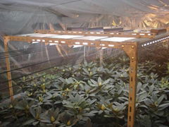 plant cultivation lamp