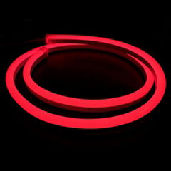 LED Neon Light