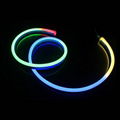 Digital Pixel RGB LED Neon Flex DC24V 15x26mm 4
