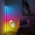 RGB LED Corner Floor Lamp