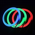 12V 24V Mini LED Neon Flex Strip Light 5