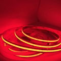 12V/24V Flexible COB LED Strip Light 5