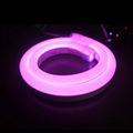 Waterproof IP68 SMD5050 15x26mm RGB 24V 110V 240V LED Neon Strip Light