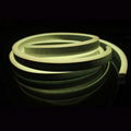 DC24V 20x10mm Horizontal Bending IP67 Waterproof Color Change RGBW LED Neon Flex 2