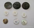 Shell Buttons 1