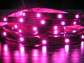 RGB LED STRIP, 12V, 5 METERS REEL 3