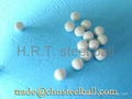 High precision NylonPOM/PA/PP/PE/delrin plastic balls 1