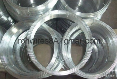 Best price for Galvanized wires