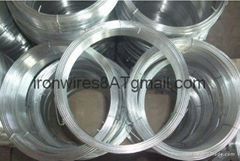 Best price for Galvanized wires