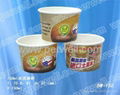 ice cream cup 1