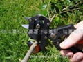 vegetable grafting pruner 