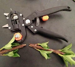 Commercial Grafting Tools