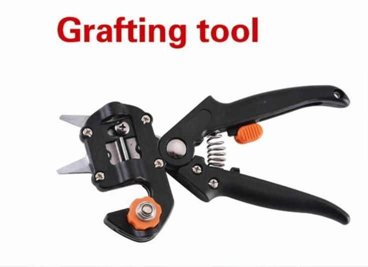 Fruit Tree Grafting Tools