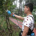 Electric Pruning Shear