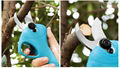 New 2.5 cm Electric pruner and electric pruning shear for garden with CE 18